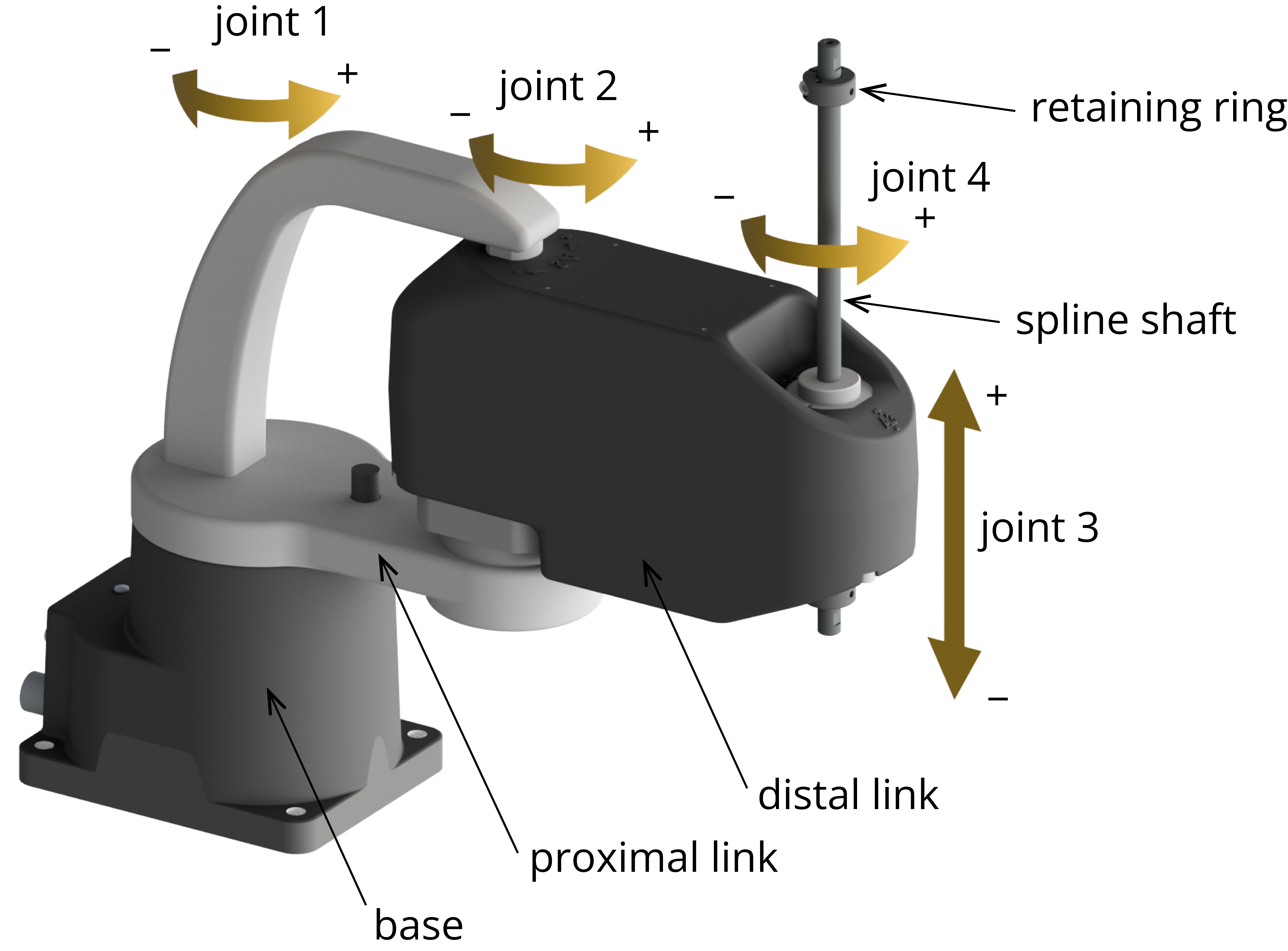 Joint numbering and nomenclature of the MCS500 SCARA robot